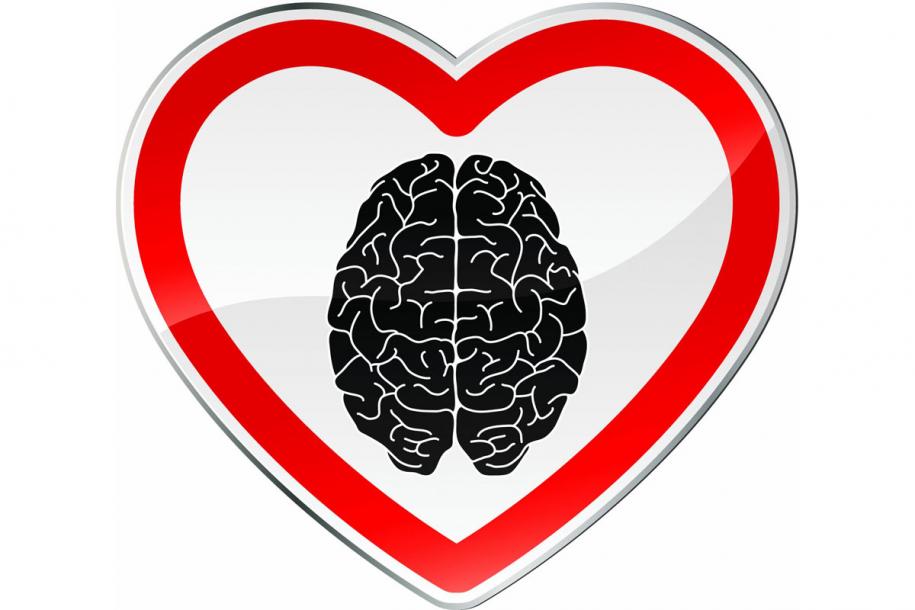 Логотип сердце мозг вектор. Что любит мозг. Мозг и любовь. ОЗГ эмблема.